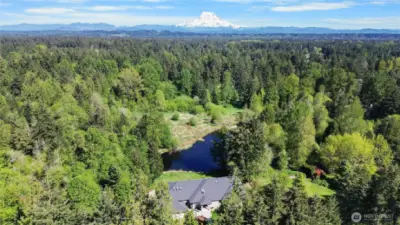 Private Estate On 7.5 Acres With Spring Feed Lake & Apartment