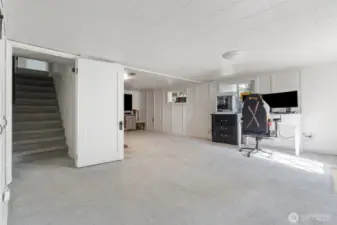 Lower level family/living room