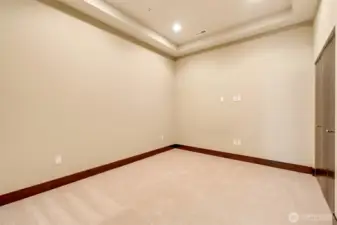 Flex room! Home office, media room, craft space? Options galore!