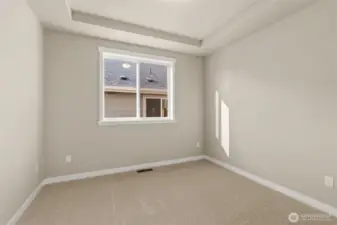 Den/ office or 3rd bed option on main level with tray ceilings and big window. It can also be used as a 3rd bed option.