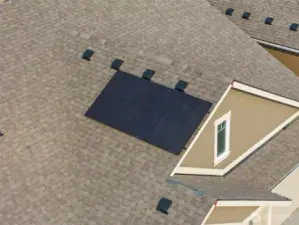 Silfab solar panels are a standard energy-efficient feature.