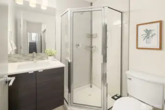 Lower level bathroom adjacent to media/guest room.