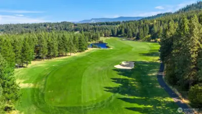 14th fairway