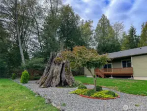 Large tree buffer on the south side of the home.