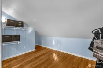 walk-in closet-almost another room!