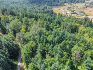 Elk Meadows community has lots of 19+ acres, private road