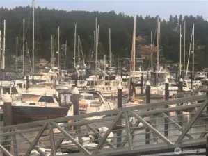 Welcome to Murphy’s Landing - boaters paradise!