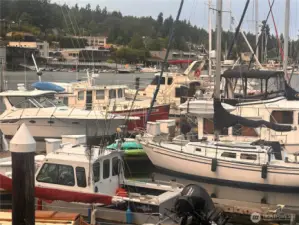 Murphy’s Landing is a popular marina!