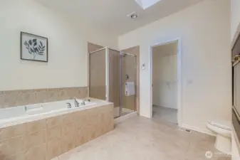 Primary Bath-2