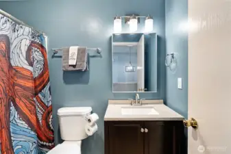 Guest full bath on the main-level.