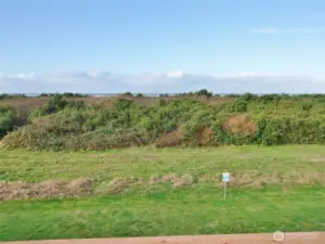 Ocean and Dunes views.