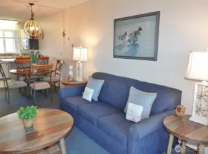 Hide-a-bed for extra guest sleeping space.