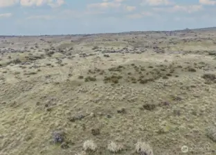 Ground-level photo from the parcel facing away from the lake.