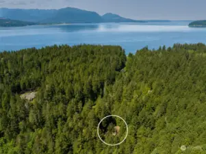 Walk to the State Park and the Hood Canal from this Location!
