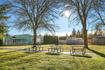 Outdoor Picnic area with BBQ Stations