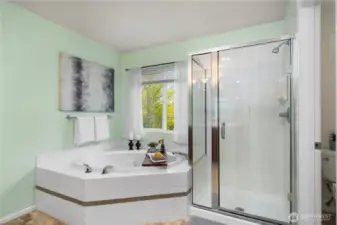 Primary ensuite w/ large walk-in closet