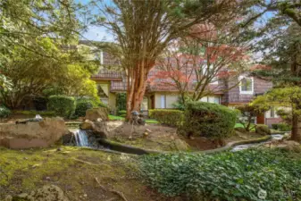 enjoy the tranquil setting of waterfall and water feature.