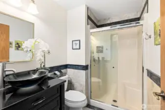 Main level bath with Walkin shower and bowl sink