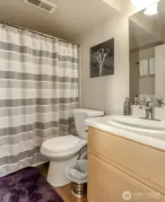 Downstairs Bathroom (Bedroom #2)