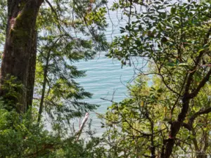 Trail takes you right to the beach but will need stairs or ladder to access beach due to 15' drop-off.