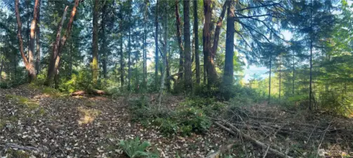 Panorama from building site #2.