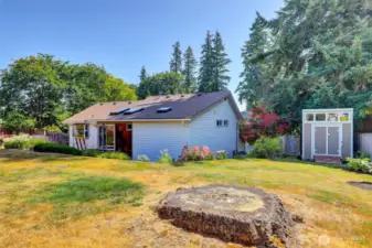 This backyard is so quiet.