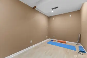 Bonus room is huge