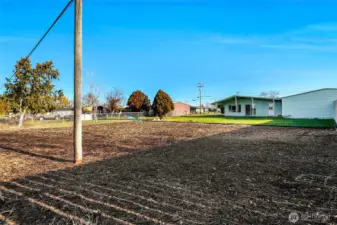 Look at all this room to add garden beds or trees!  In either case, it's low maintenance!