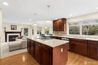 Kitchen overlooks the family room.