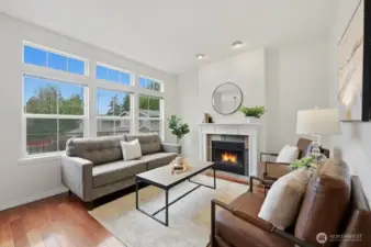 Living room on main level, up the stairs from the front entrance