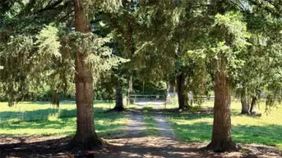 Driveway and Gate