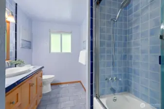 Main floor full bath with storage to the left (hidden from view)