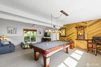 Lower level Rec room offers plenty of space for entertaining! Pool table, pool table light and cue rack go with seller. Light to be replaced with antique brass flush mount prior to closing. TV and mount go with seller.