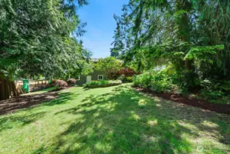 Spacious 7400 sqft lot with a fully fenced backyard. Northwest woodland garden is a delightful mix of native plantings including cedars, oregon grape, huckleberry, sword ferns, bracken ferns, cornflower and violets.