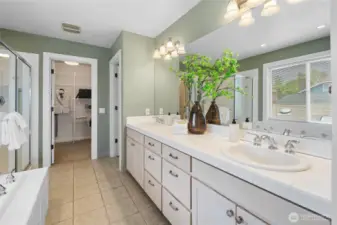 En suite bathroom and walk in closet and private bidet
