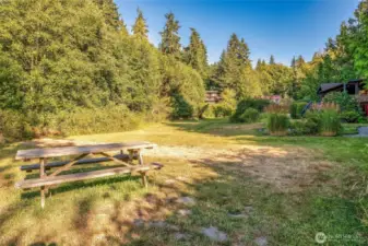 Picnic in the meadow.