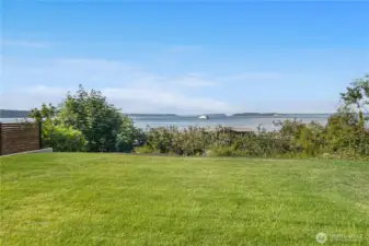 Backyard views