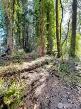 This lot is surprisingly large, come walk the trail and get to know it.
