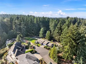 Private cul-de-sac of established homesHome backs up to Pierce County Parks & Rec 100 Acre Woods that is filled with many walkable trails and where wildlife abounds.
