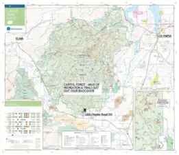 Capitol Forest with this spectacular home at its edge