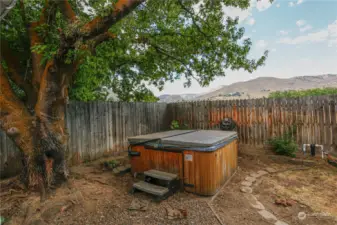 Hot tub in the back corner of the yard