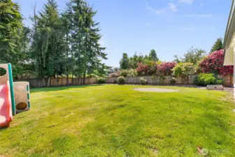 Large, flat back yard