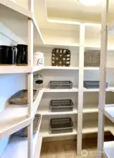 Walk in pantry...tons of storage!