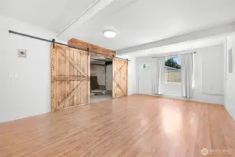 Downstairs bonus area - Gym, Apt, shop, ???