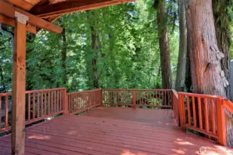 Multilevel back deck overlooking a ravine!  So peaceful!