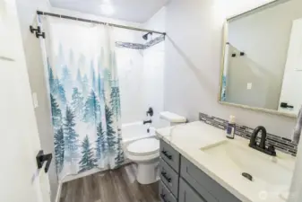 Full hallway bathroom