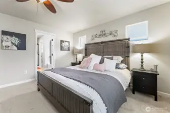 High windows bring in the light while not compromising privacy.