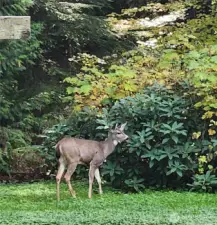 I took this photo when I drove in one day