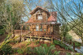 Mature landscaping provides lots of cover for birds -- wildlife abounds. Spring brings buds and blossoms.