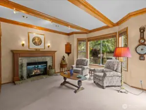Family room with wood burning fireplace